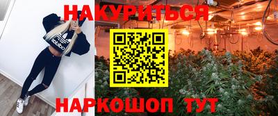 МДПВ Гай