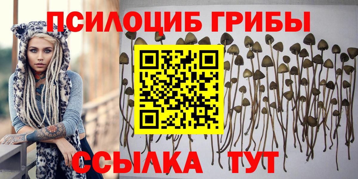 Псилоцибиновые грибы GOLDEN TEACHER Нальчик